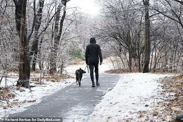 A dog walker in Central Park in February 2022. Locals were divided over the proposed law, with one likening it to parents taking time off to care for children, and another describing it as a 