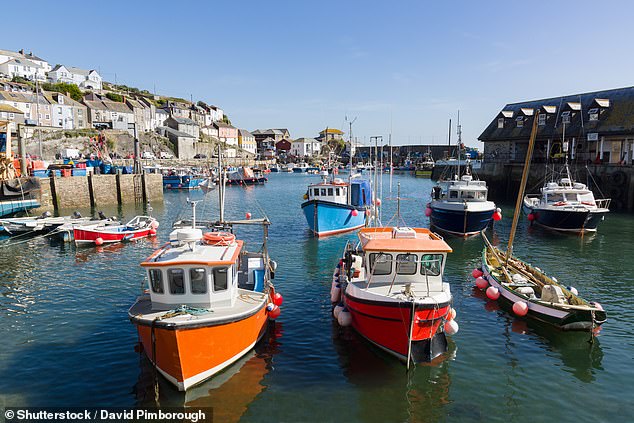 Under the post-Brexit trade deal between Britain and the EU, 25 percent of the total existing EU quotas in British waters will be transferred to Britain during a five-and-a-half-year transition period until 2026.