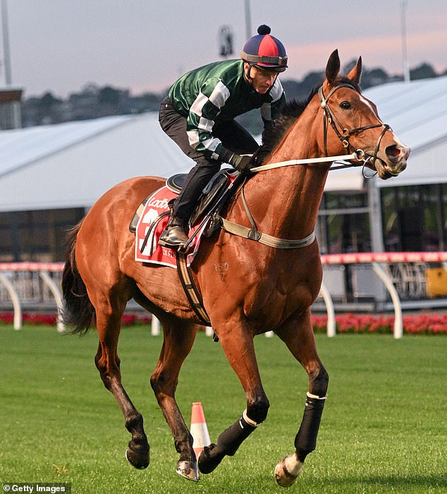 Superstar jockey James McDonald – who will ride Via Sistina (pictured) – is chasing his 100th career Group 1 win