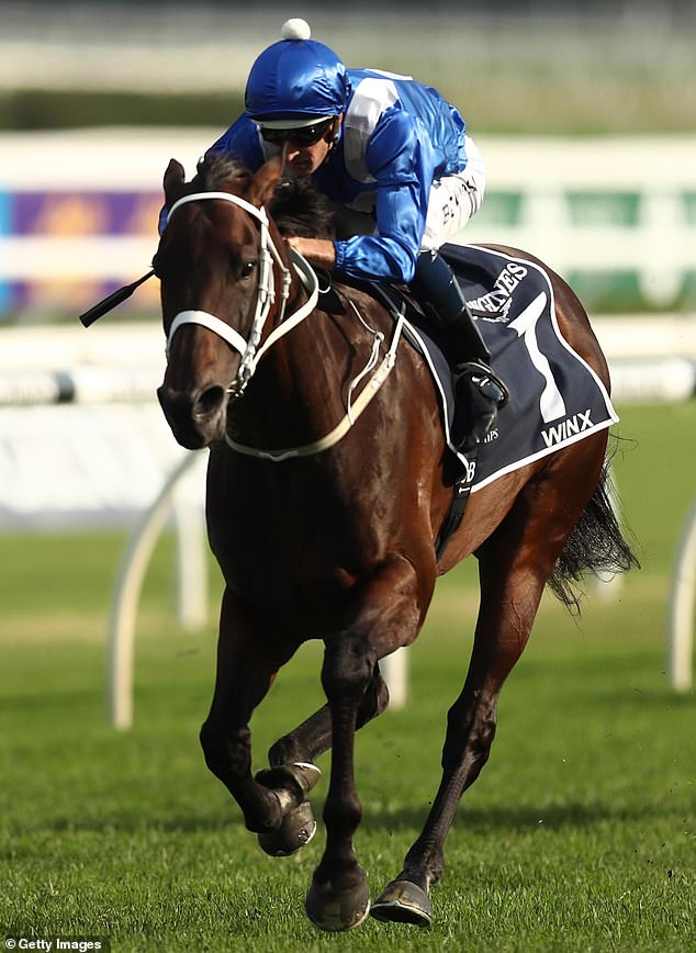 Champion mare Winx won the Cox Plate four times, a record (photo, with jockey Hugh Bowman)