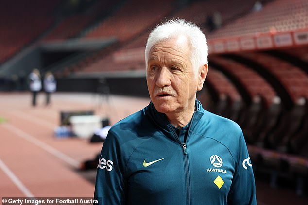 Interim coach Tom Sermanni still has a lot of work to do to turn around Matildas' poor form, which dates back to before the Paris Olympics