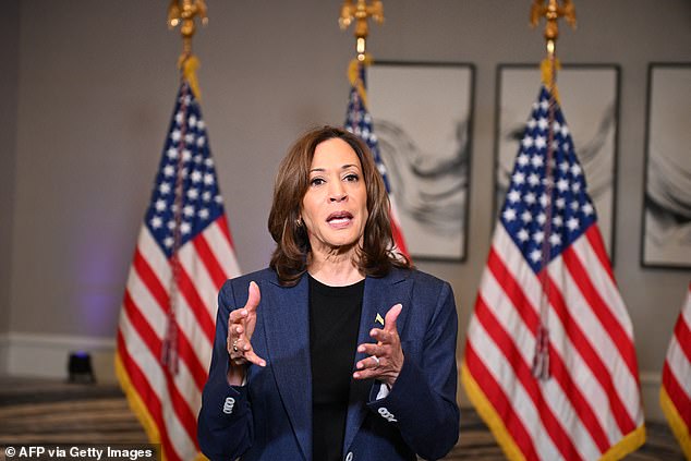 Vice President Kamala Harris speaks to the press at a hotel in Houston ahead of her meeting Friday