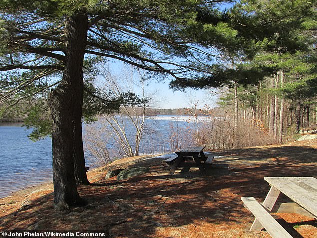 Days after their arrest, Elijah's remains were found at Ames Nowell State Park in Abington, Massachusetts