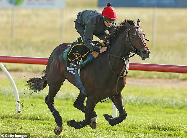 Brown Panther was Owen's first horse to compete in the Melbourne Cup, but sadly died two years later due to a racing injury