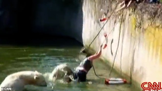 As the woman tries to escape her predicament, one of the bears pulls her back into the water