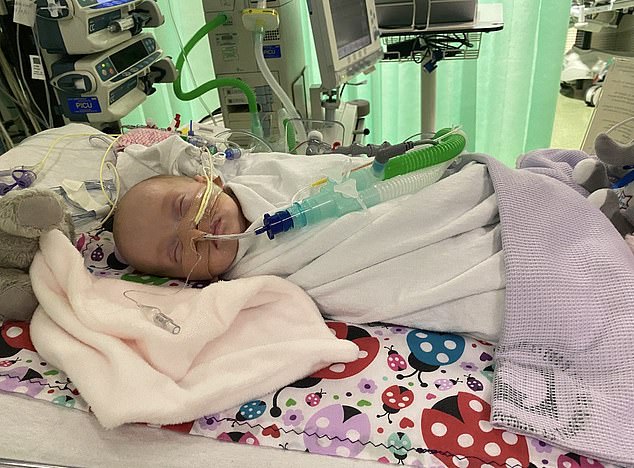 Baby Molly in the hospital is battling blood poisoning and pneumonia