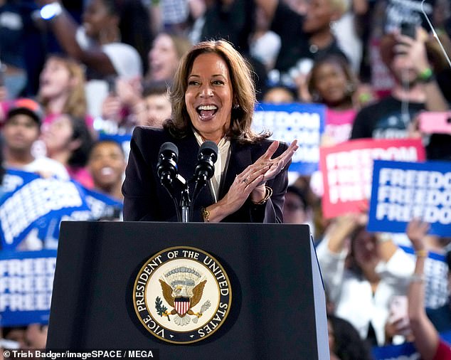 Some fans had waited more than 12 hours before packing into the city's Shell Energy Stadium to watch Beyoncé perform, only to be disappointed when she just delivered her message of support