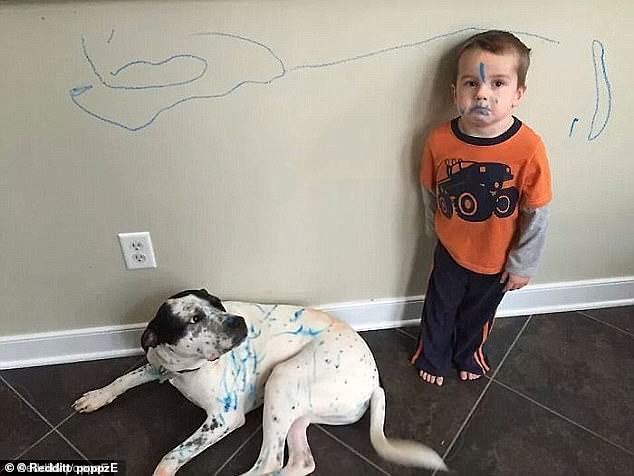 Doodles for everyone: One boy left blue marks on the wall, the dog and of course his own face