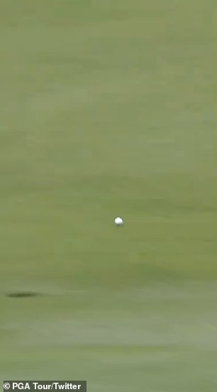 The ball landed in the fairway