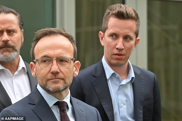 Two Greens seats in Brisbane could go to Labor and the LNP respectively as counting resumed on Sunday after Saturday night's election, which could spell trouble for the party's three federal seats in overlapping city electorates (pictured, Greens leader Adam Bandt and MP Max Chandler -Mater)