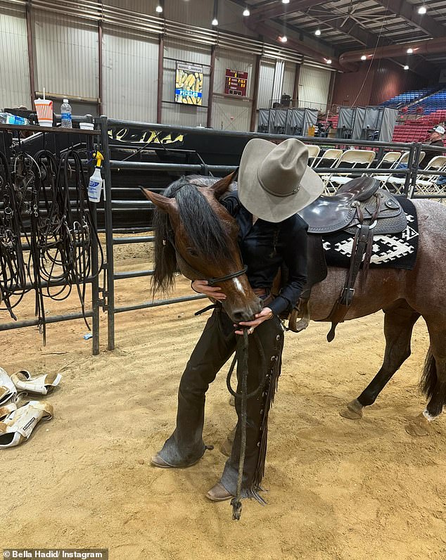 This year the Southern Cutting Horse Futurity took place from October 18 to 26 in Jackson, Mississippi