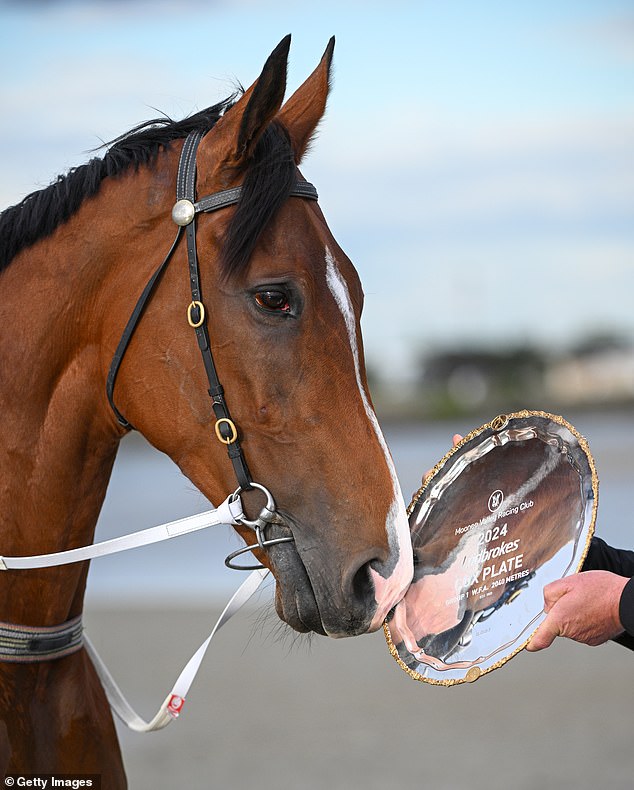 Via Sistina also broke the track record in her eight-length demolition job, recording a time of 2.01.07, breaking Winx's record in 2017.