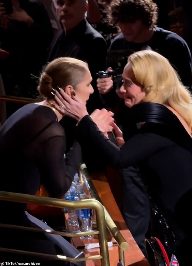 In footage shared online, Adele and Céline held each other before the English singer returned to the floor and told the crowd: 'Give it up for Ms. Céline Dion'