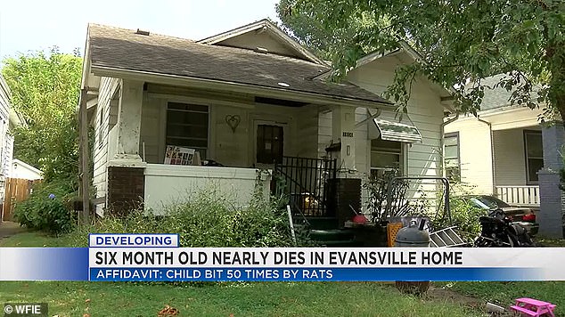 Authorities responded to the Schonabaum home on September 3, 2023, and found the baby boy in a bloody crib about three feet away from where his parents slept in a room full of half-eaten food and rat feces.