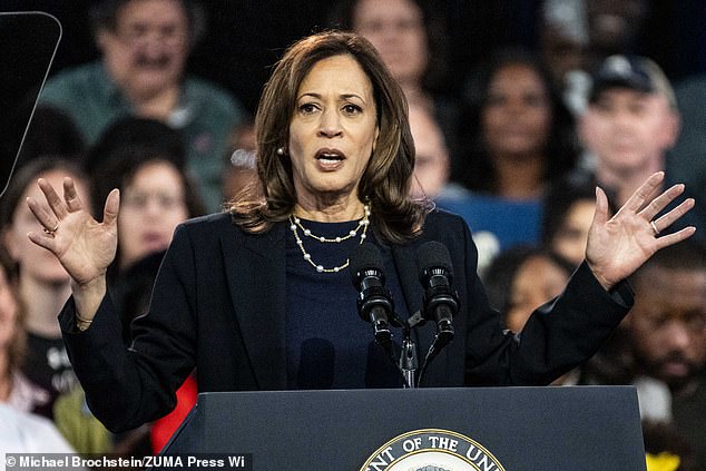 His third most likely scenario, a Harris victory and a divided Congress, would leave the economy in a status quo, with little expected to change.