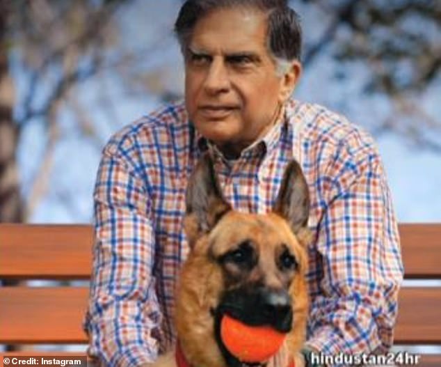 Mr Tata specified that arrangements should be made to provide 'unrestricted care' to his beloved pet, who was by his side when he died