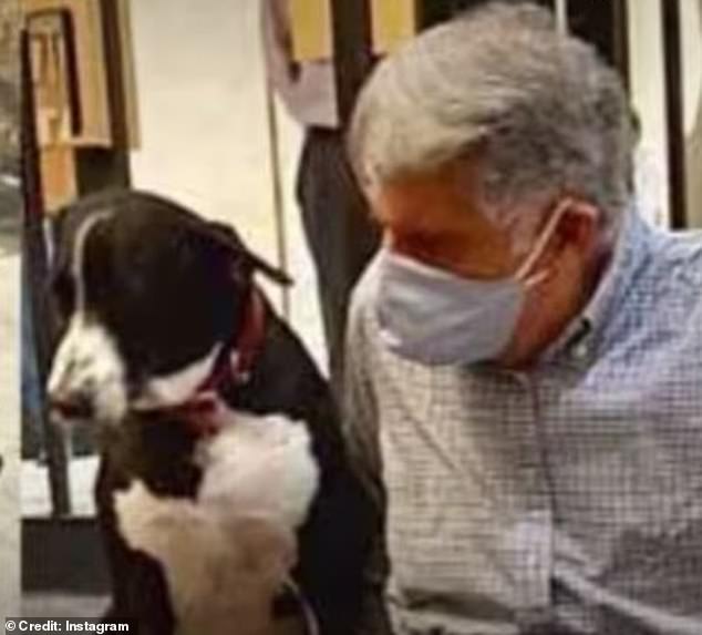 The will is in keeping with Mr Tata's lifelong love for animals, with doormen at the Tata Group headquarters instructed never to turn away a stray animal (pictured with his dog, Goa)