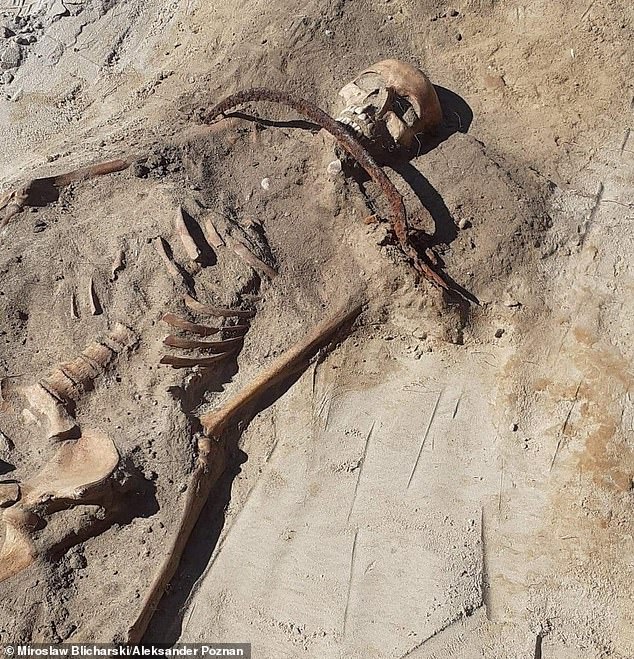 The remains of a 'female vampire' who was padlocked to the ground with a sickle on her throat and a toe to 'prevent her from returning from the dead' have been found in a village in Poland