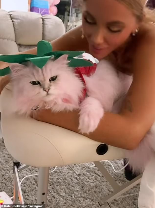 In another clip, she dressed the cat as a strawberry as she lay naked and treated herself to a massage