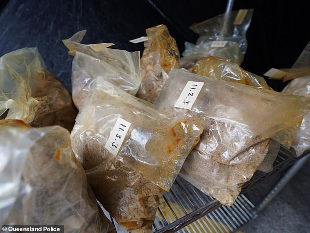 Police replaced the MDMA, which was in powder form, with brown sugar before the sting