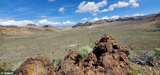 Environmentalists are concerned the mine will cause a critically endangered wildflower to become extinct