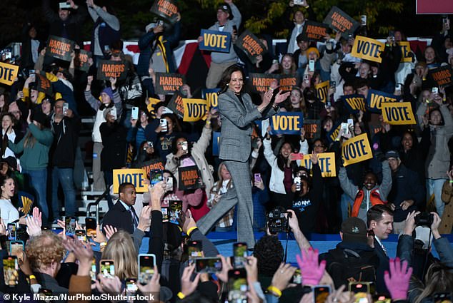 1730177168 850 Moment Kamala Harris Michigan rally crowd goes awkwardly silent