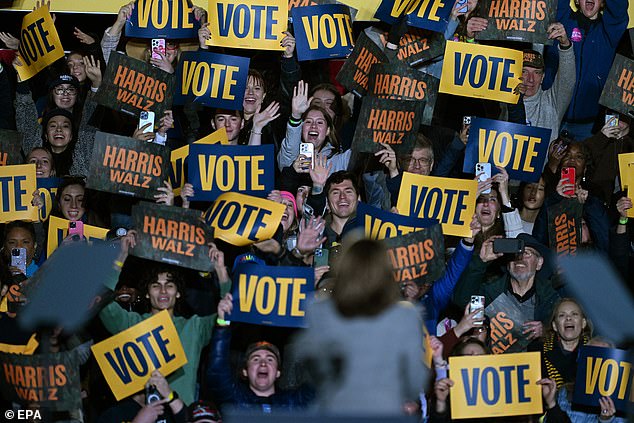 The view behind Kamala Harris as she spoke at her rally in Ann Arbor