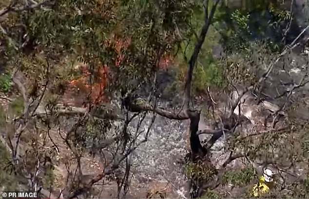 A Jabiru plane struck a yellow Cessna 182 in mid-air, killing three people (photo: a firefighter putting out the wreckage)