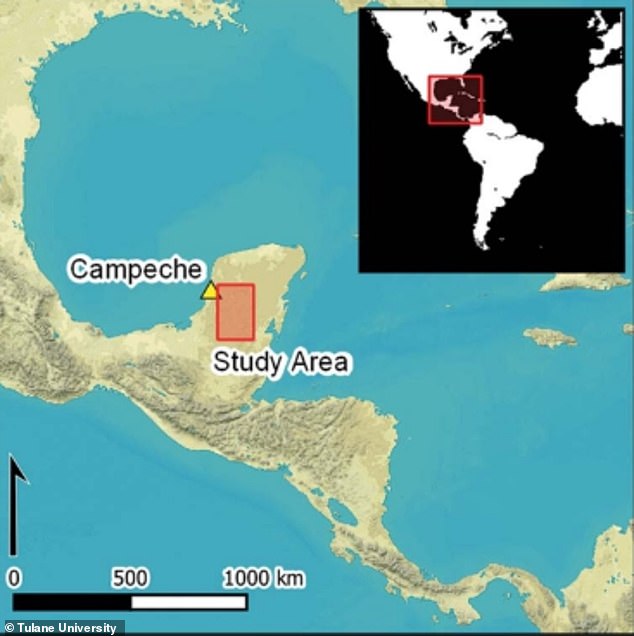 The Mayan city was discovered near Campeche in Mexico and covers approximately 21 square kilometers