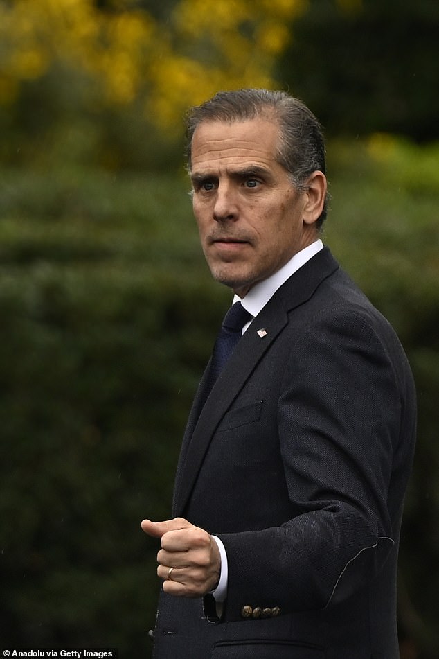 The whistleblowers said they were punished for speaking out about the IRS's treatment of Hunter Biden