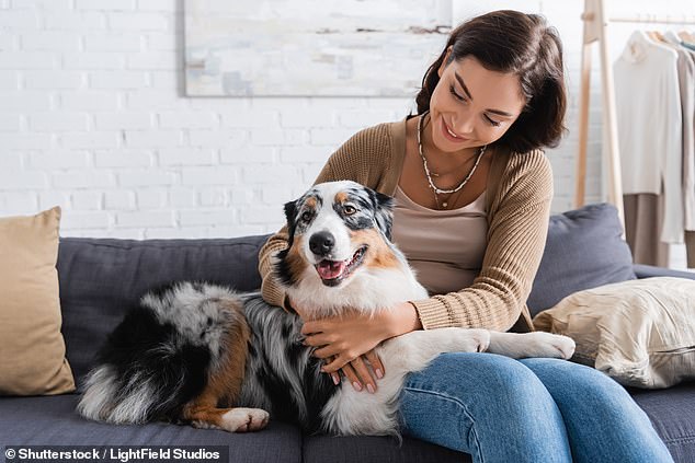 A survey of dog owners in Britain and the US found that the parenting styles individuals experienced in childhood are linked to the way they treat their puppies as adults.