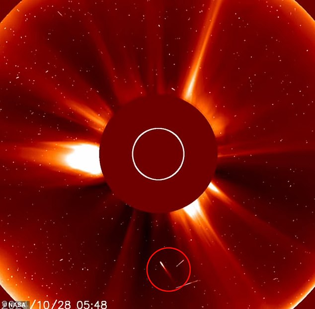 The comet, known as sungrazer, followed a straight path past Earth's star and evaporated in the fiery orbit