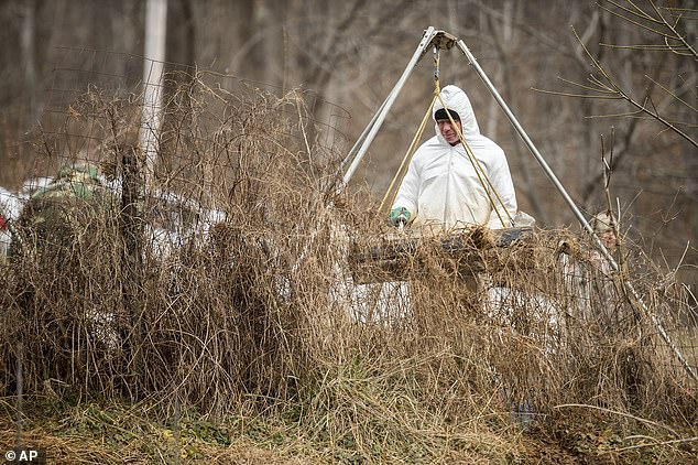 Investigators have carried out forensic excavations at the Taylors Mountain estate, searching the ground where the girls' bodies may have been buried, but so far no bones or remains have been recovered.