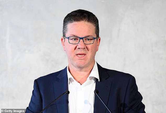 AFL Players' Association boss Paul Marsh (pictured) revealed the development as he criticized the league for its murky position on penalties for shocking off-field behavior