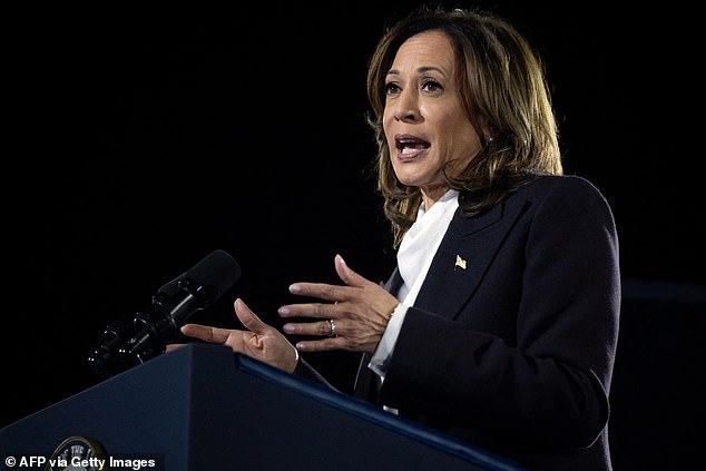 U.S. Vice President and Democratic presidential candidate Kamala Harris speaks at The Ellipse, just south of the White House in Washington, DC, on October 29, 2024