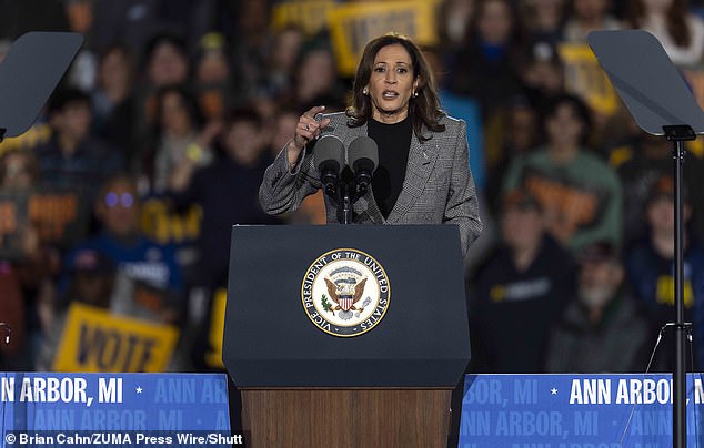 Vice President Kamala Harris is seen here in Ann Arbor, Michigan on Monday as the race for the White House enters its final days