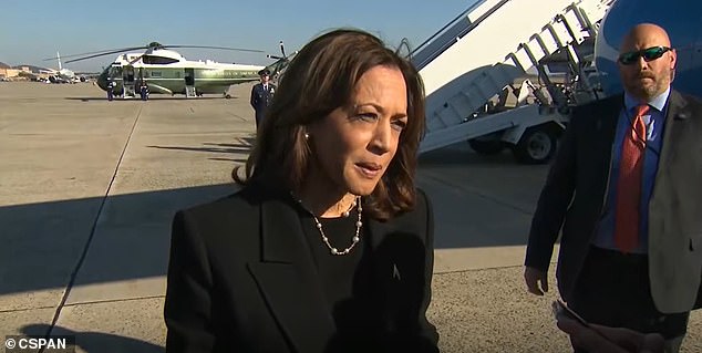 Kamala Harris says she 'strongly disagrees' with voter criticism amid fallout from Biden's 'garbage' comment