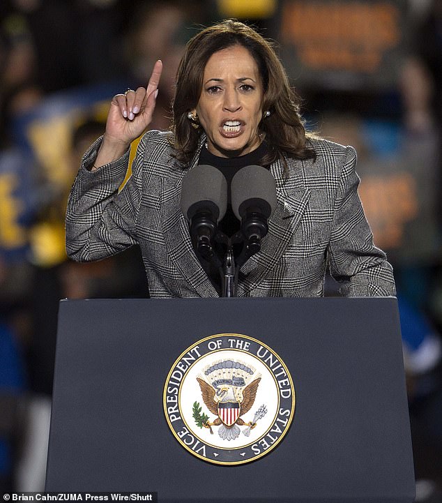 Democratic presidential candidate Kamala Harris speaks during a campaign rally in Burns Park. Harris and Walz rally in Ann Arbor, Michigan on October 28