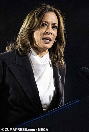 Vice President Kamala Harris