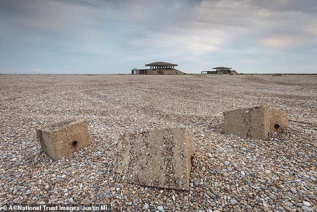 The fragile coastal habitat – the largest shingle spit in Europe – consists of 2,000 hectares of reed marshes, mudflats, brackish lagoons and delicate shingle ridges and valleys