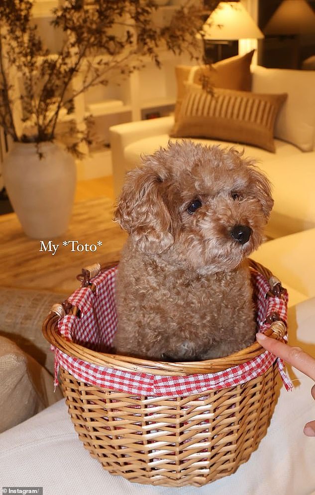 The model's beloved pet, Oliver Sprinkles, played the role of Dorothy's dog Toto