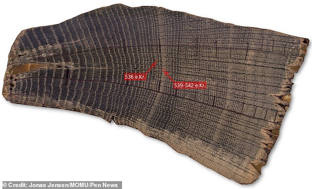 By analyzing tree rings, scientists from the National Museum of Denmark have proven that a real climate catastrophe occurred 1,500 years ago