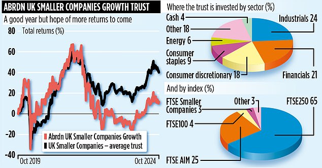 ABRDN UK SMALLER COMPANIES GROWTH TRUST The bargain fund hunting