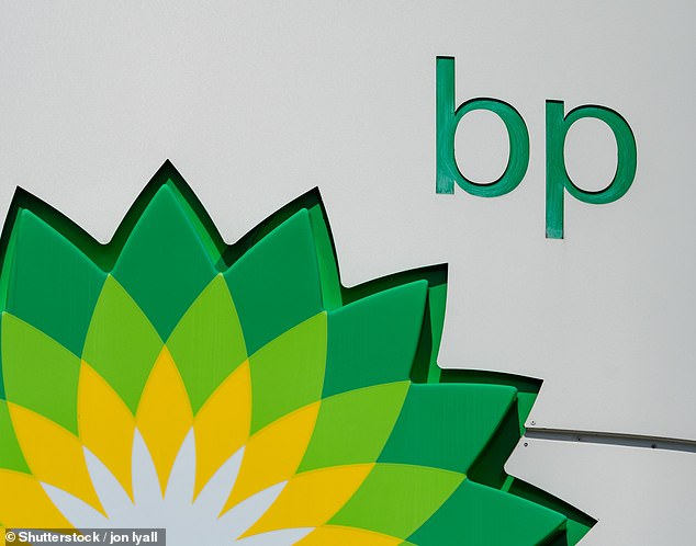 Not impressed: Shareholders are disappointed with BP's green strategy