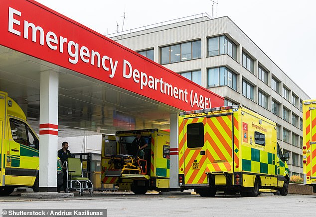 Ambulance staff have been told to leave patients in hospital corridors if they wait longer than 45 minutes (stock image)