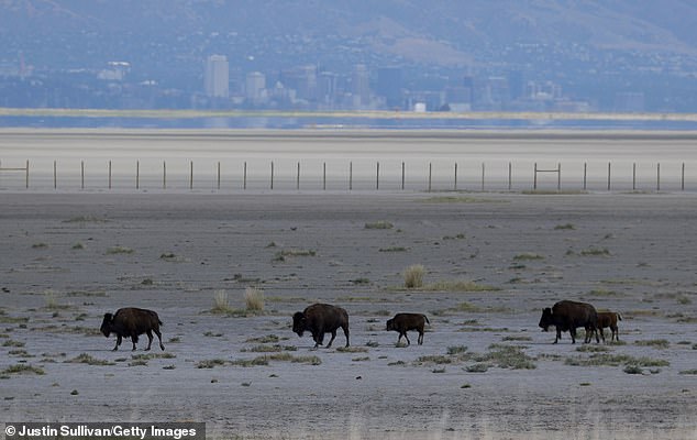 Two recent studies have suggested that dangerous levels of toxic dust are being spread throughout the Salt Lake Valley, while water levels in Great Salt Lake continue to rise and fall.