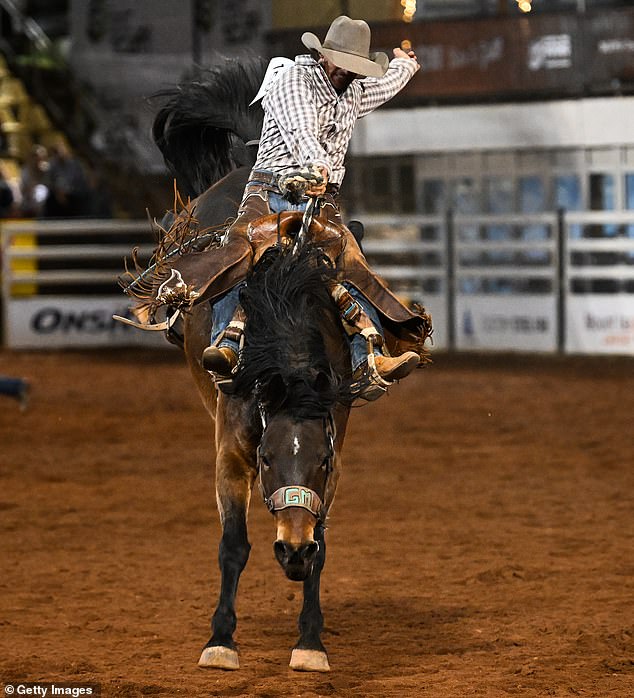 If PETA has its way, Mt Isa Rodeo attractions such as saddle spring horseback riding (pictured at this year's event) will be a thing of the past