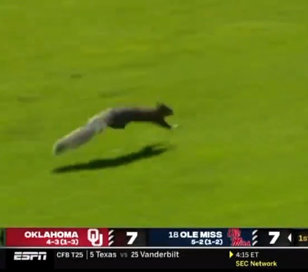 A squirrel wreaked havoc when it stormed the field at Vaught-Hemmingway Stadium