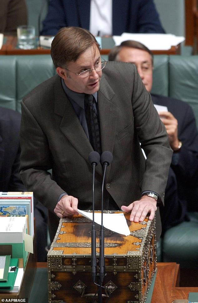 Anthony Albanese is pictured addressing the House of Representatives in 2002, when he was shadow minister