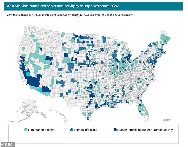 As of 2024, West Nile has been found in humans in 46 states